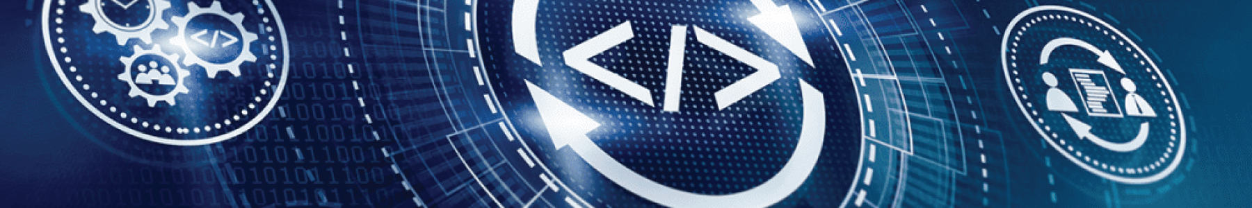 Maximize Your ROI With IT Asset Management