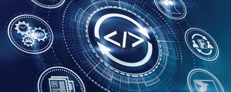 Maximize Your ROI With IT Asset Management