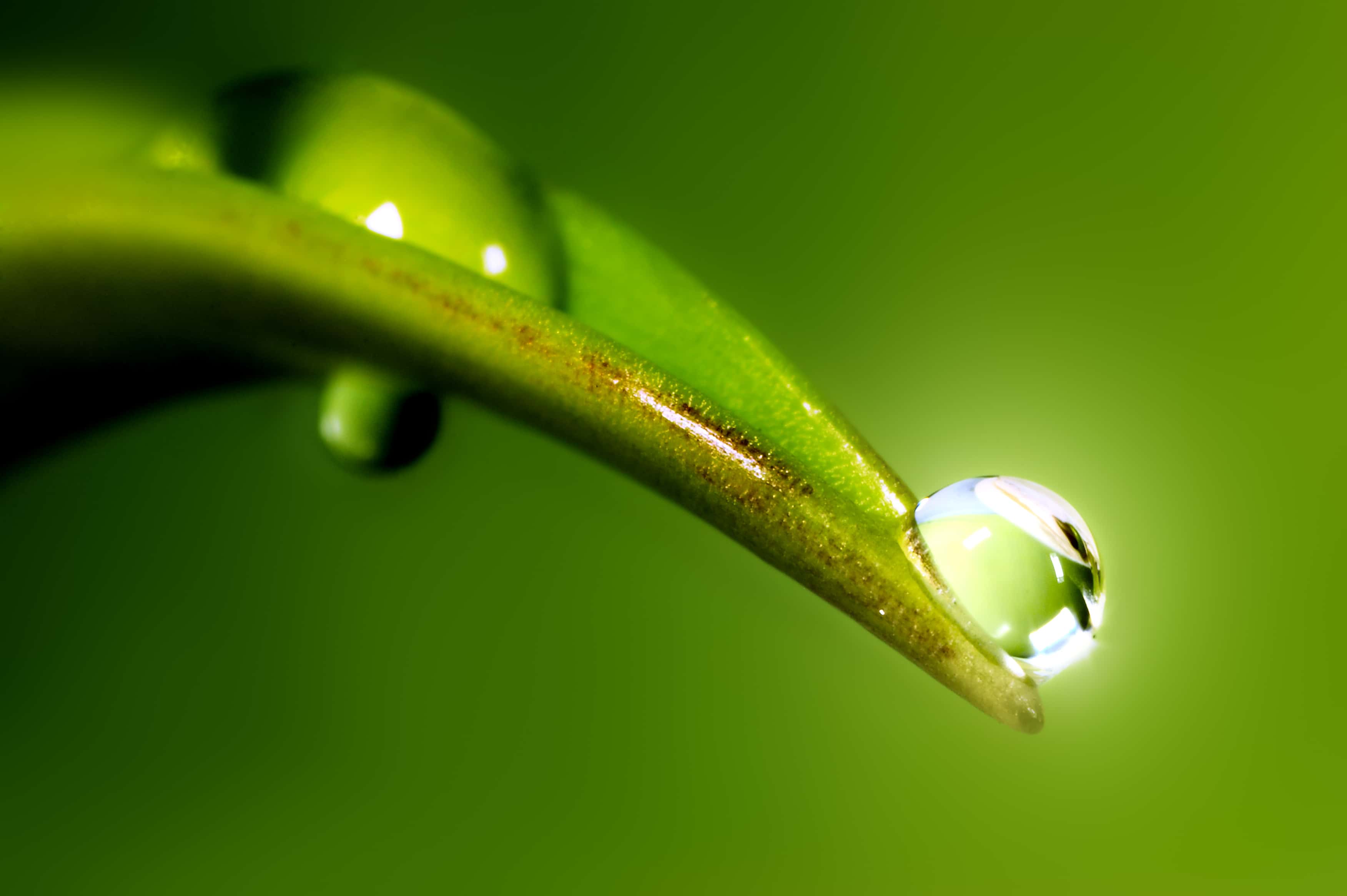 Waterdrop